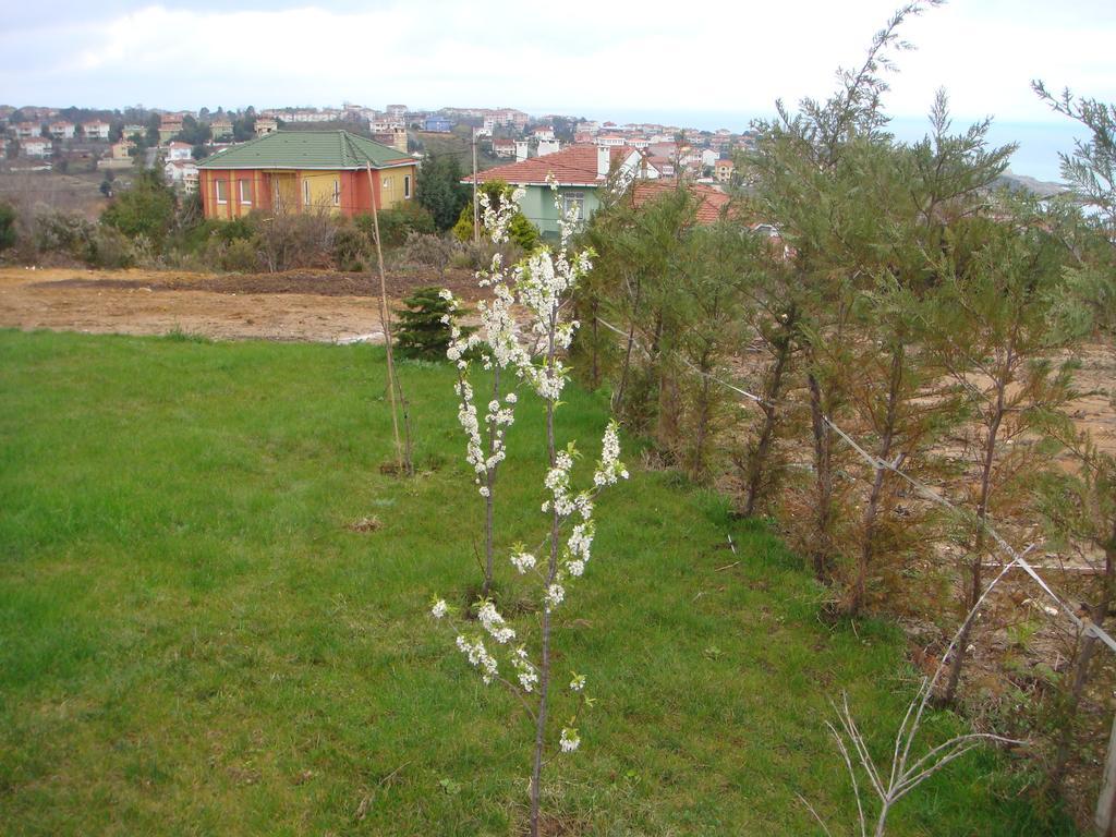 Titanik Pansiyon Ağva 外观 照片